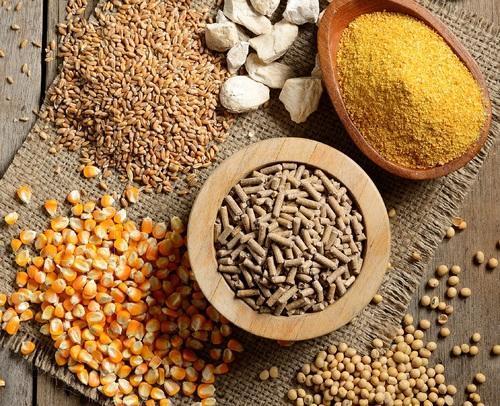 Feed Raw Materials