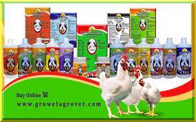 Poultry-Medicine